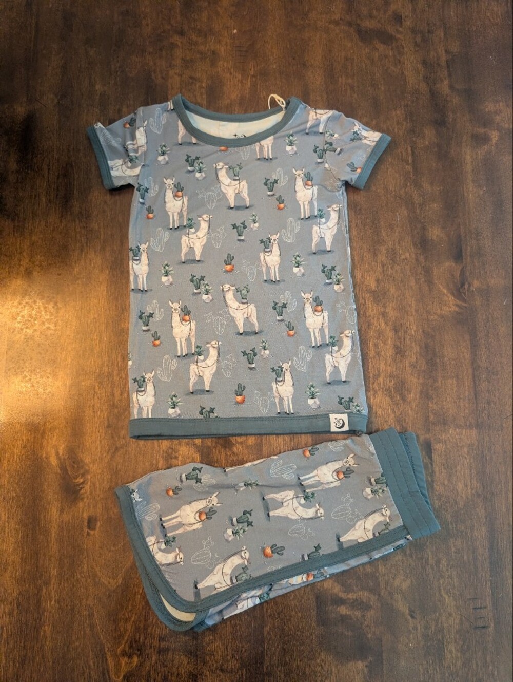 Big Dreams Little Jammies Kids Blue Llama Print Bamboo PJ Set/ Nwt